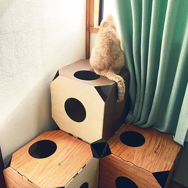 yayoiさんの実例写真