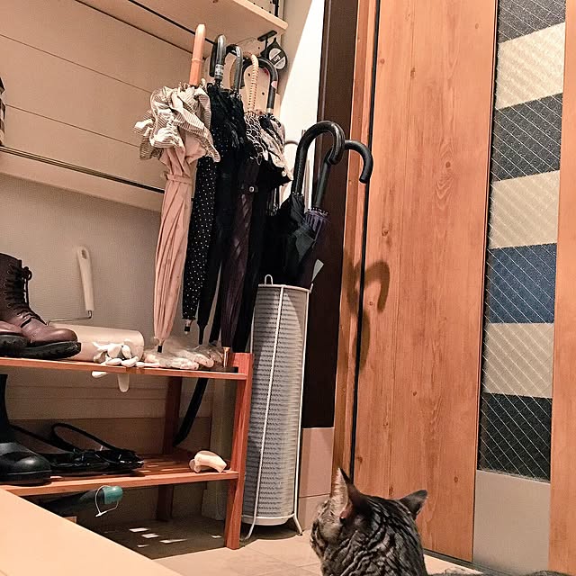 Masumiさんの実例写真