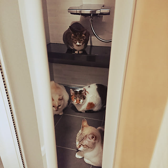 nachiさんの実例写真