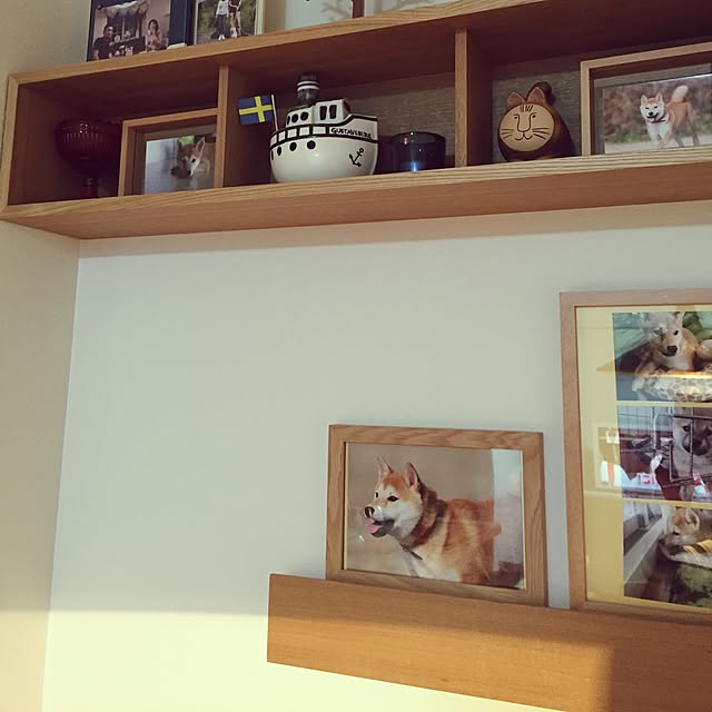 実例写真
