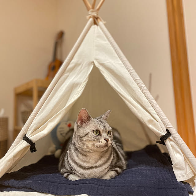 Aさんの実例写真