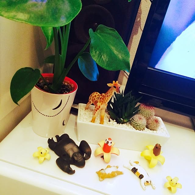 017さんの実例写真
