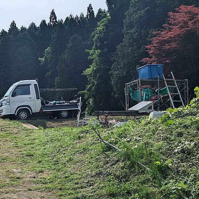 実例写真