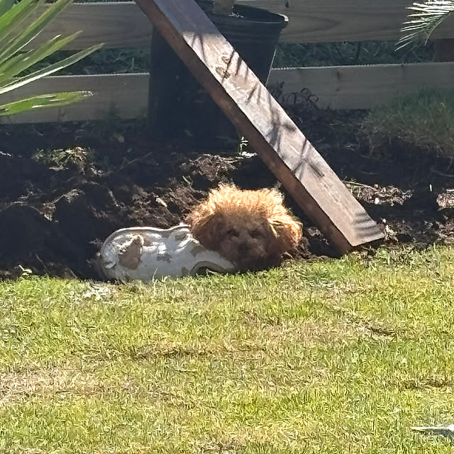 bonjiri0824さんの部屋