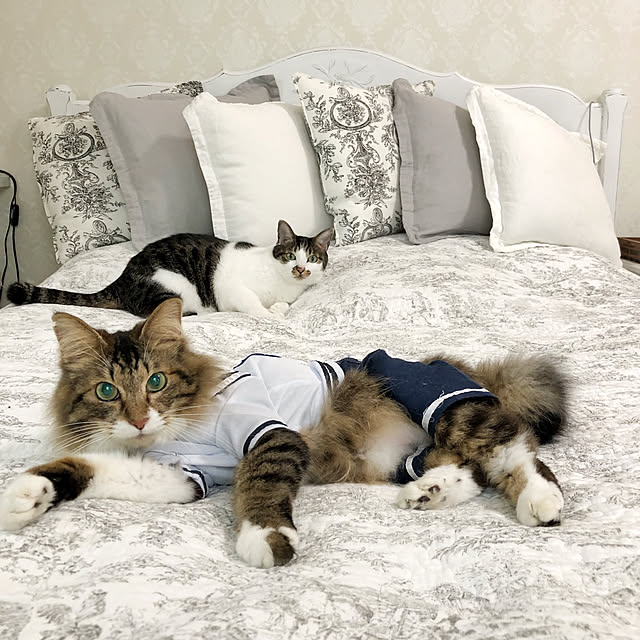yuchiさんの実例写真