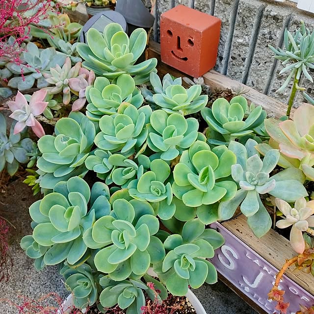 VERANDARJUNさんの実例写真
