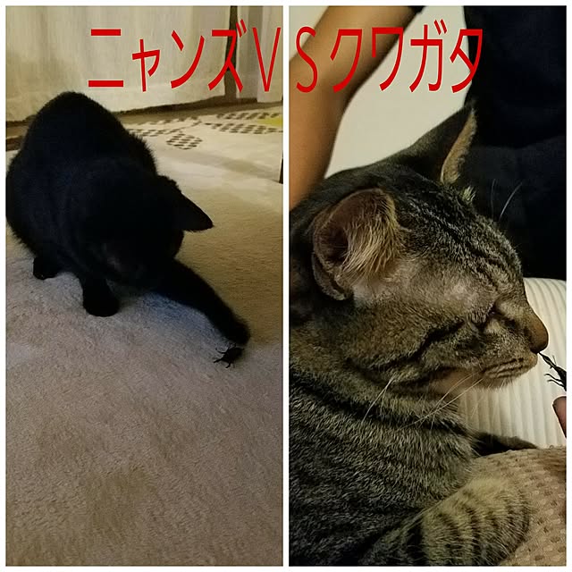 k-ai323さんの実例写真