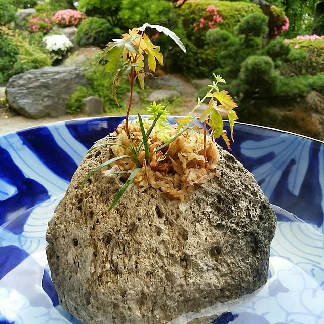 mutanさんの実例写真