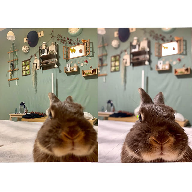 mo-nosukeさんの実例写真