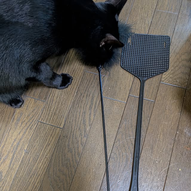 asaさんの実例写真
