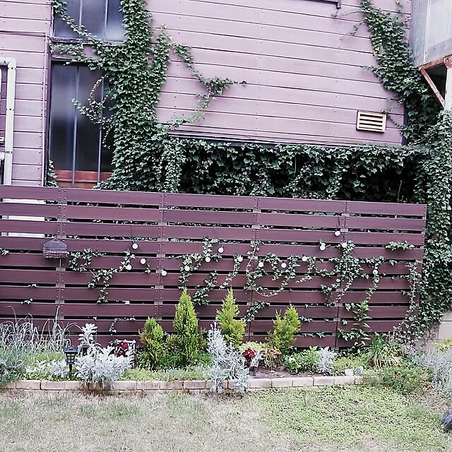 mudflapさんの実例写真