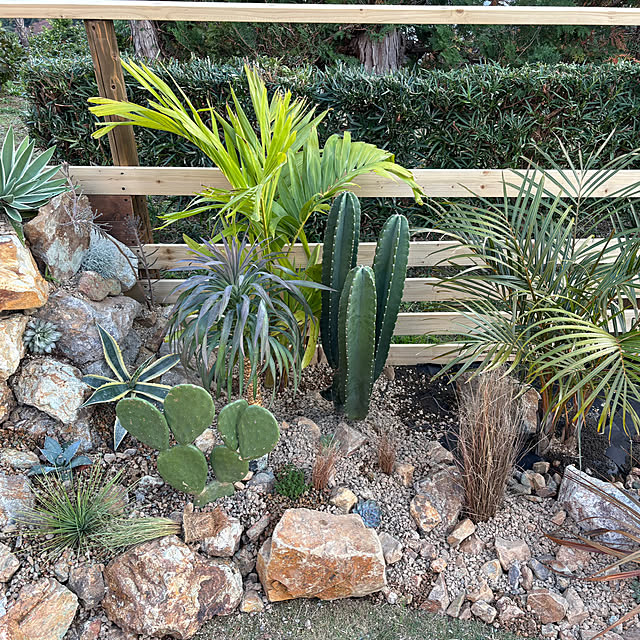 bonjiri0824さんの部屋