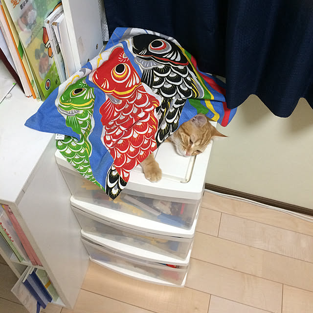 nekoさんの実例写真