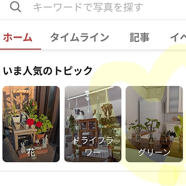 実例写真