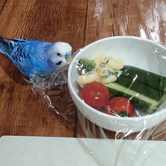 opiopiopiさんの実例写真
