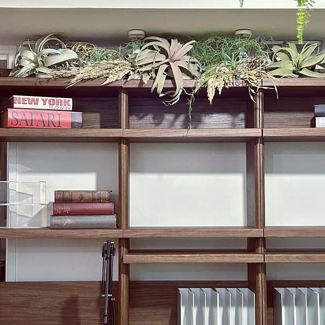 DAYONEさんの実例写真