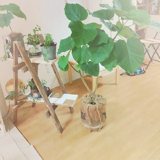 chiさんの実例写真
