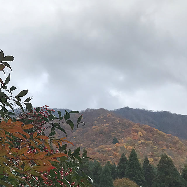 aoinokimiさんの部屋