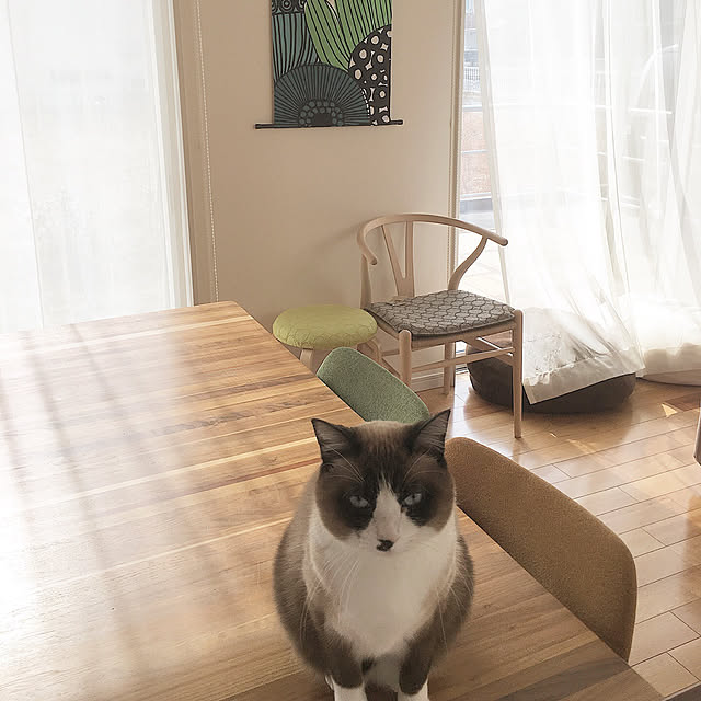 samisoさんの実例写真