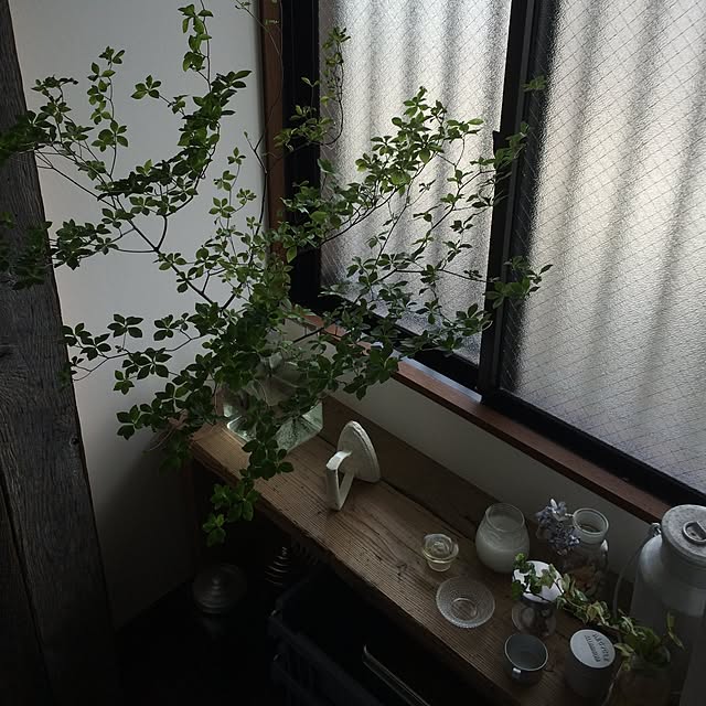 eggさんの実例写真