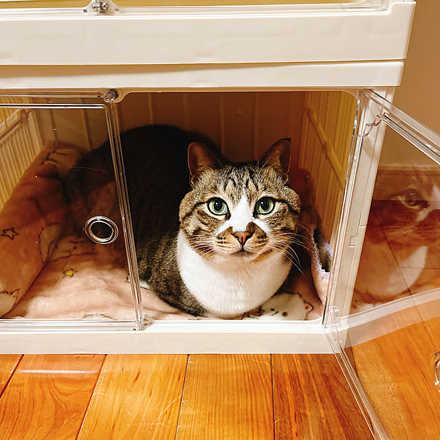 marinkarinさんの実例写真