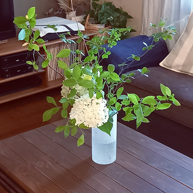 anzmama0404さんの実例写真