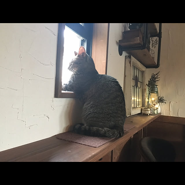 marusanさんの実例写真