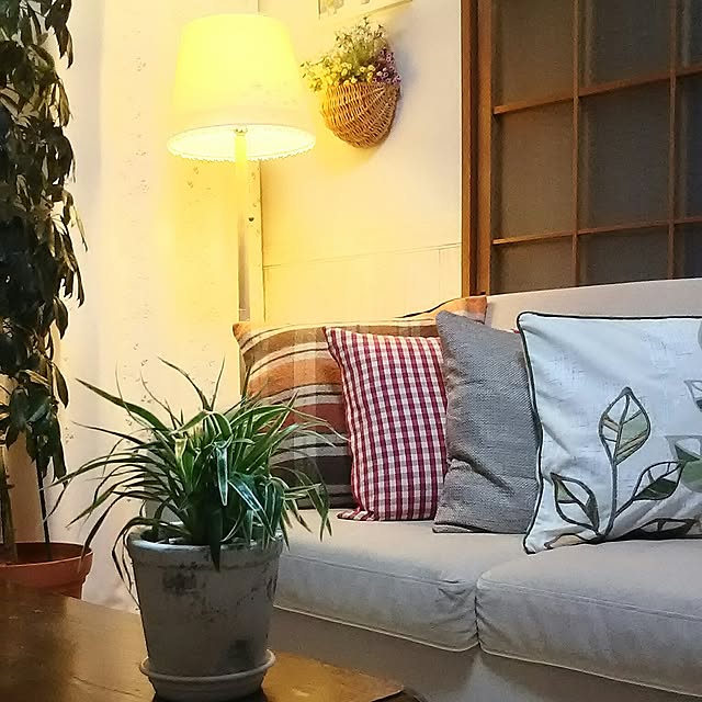 naopyiさんの実例写真