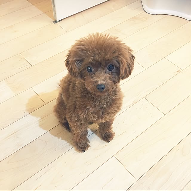 U.K.さんの実例写真
