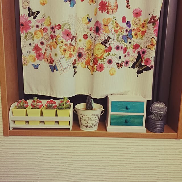 fu-sanさんの実例写真