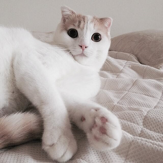 onojiijiさんの実例写真