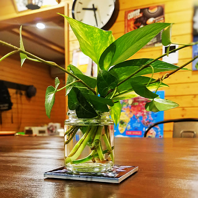 crapgreenさんの実例写真