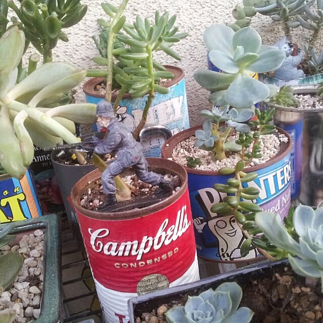 zutanさんの実例写真