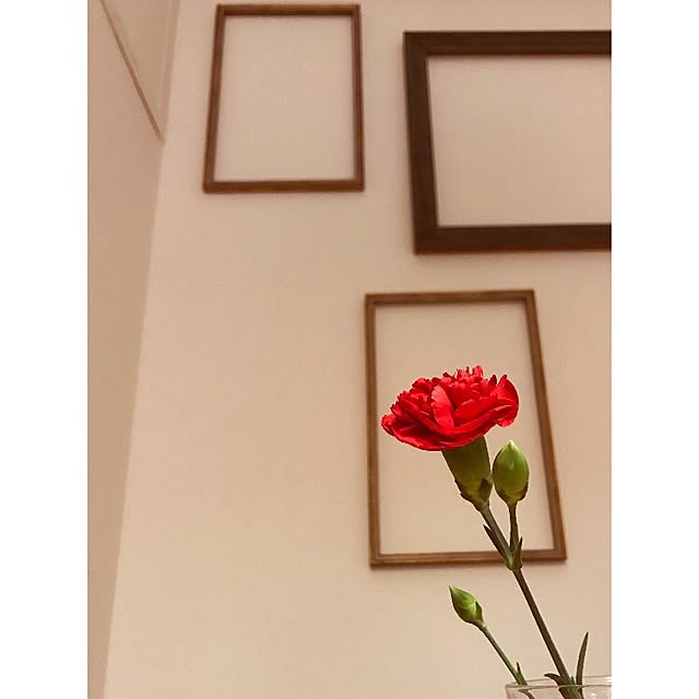 sot1127さんの実例写真