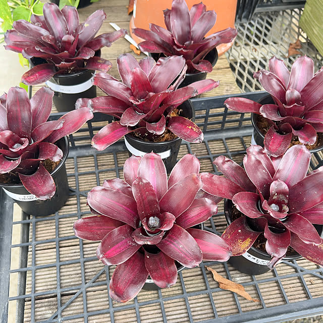 mei617830さんの部屋