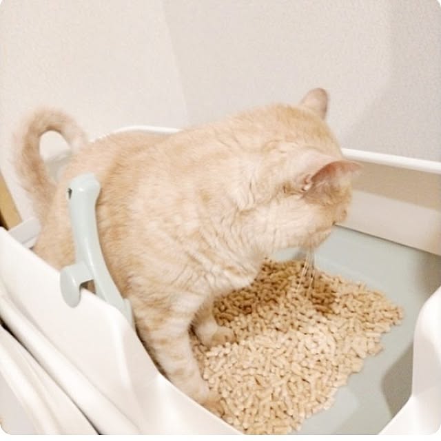 heart.emiemi57.whiteさんの実例写真