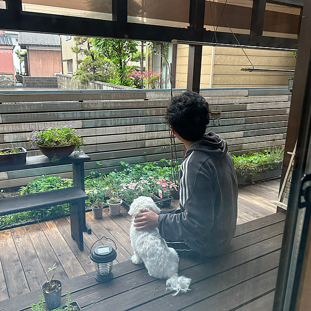 実例写真