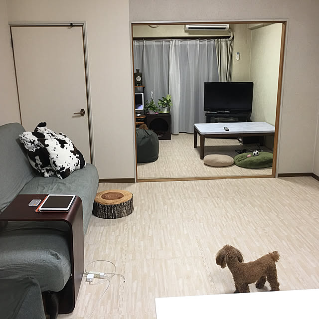 実例写真