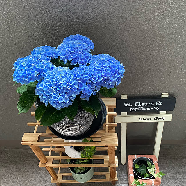 mamimoさんの実例写真