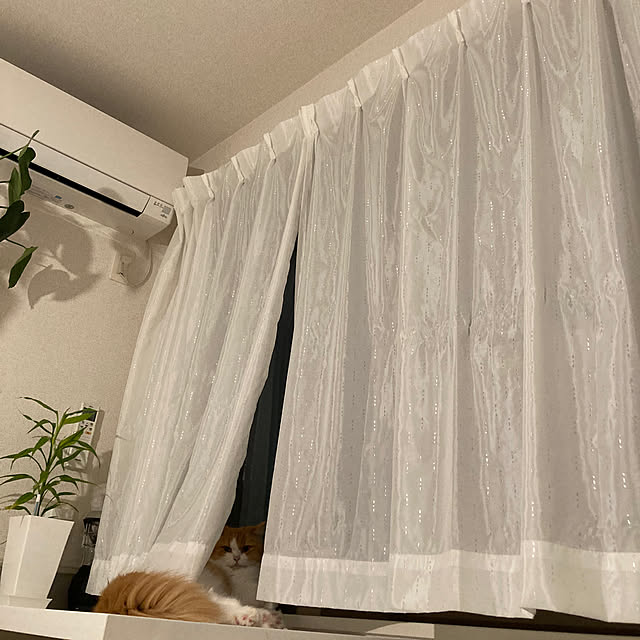 H.Tさんの部屋