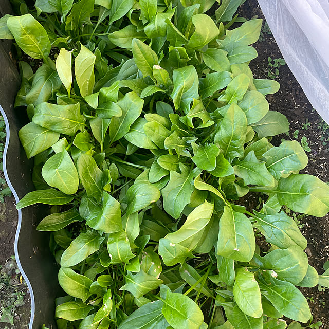 yunroomさんの部屋