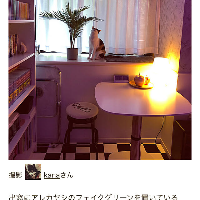 実例写真