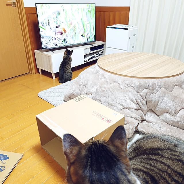 nachiさんの実例写真