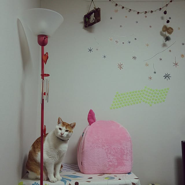 porinさんの実例写真