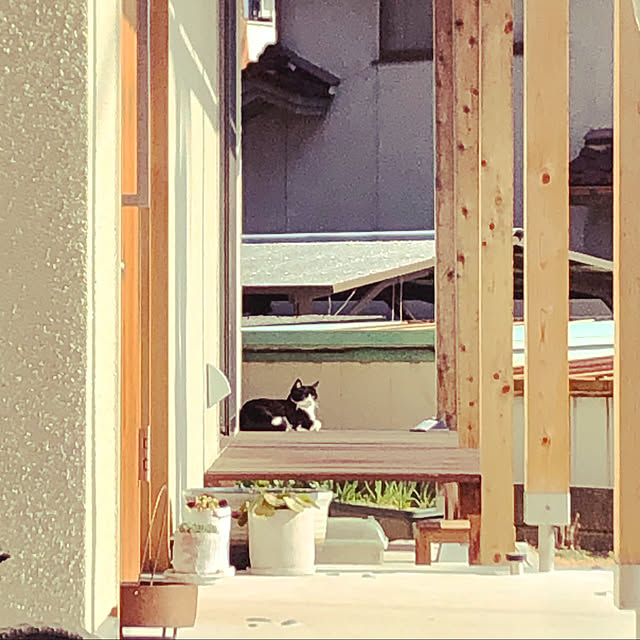 TETSUさんの実例写真