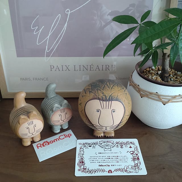 tan5さんの実例写真