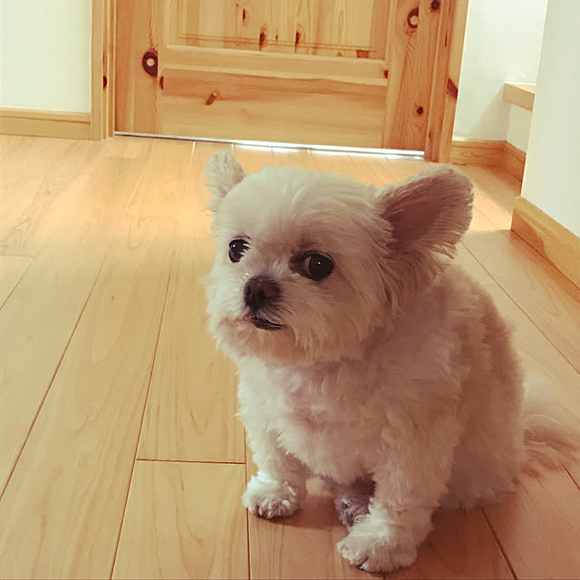 hotaruさんの実例写真