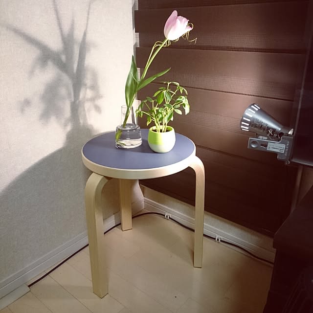 jjjさんの実例写真