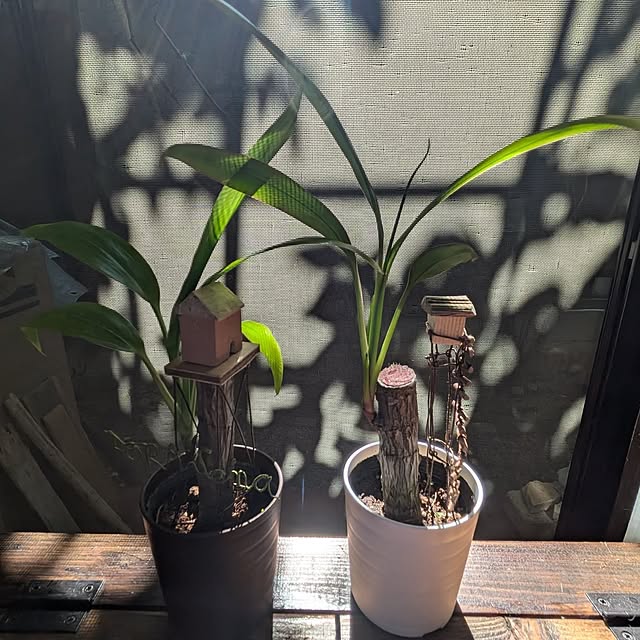 mori_6_12さんの部屋