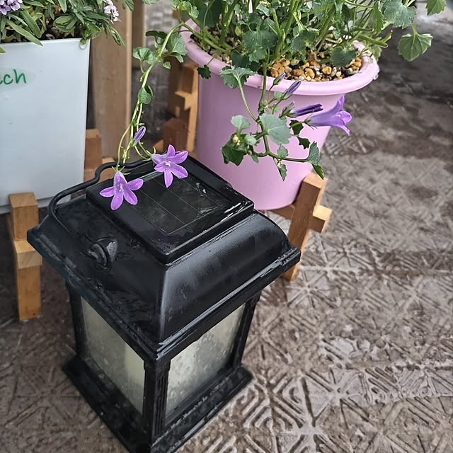 mi-saさんの実例写真